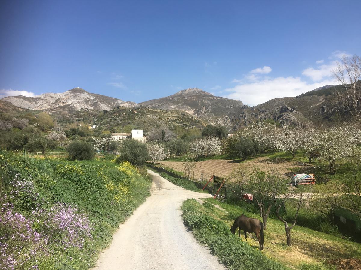 Hotel Rural Fuente La Teja Güéjar Sierra Zewnętrze zdjęcie